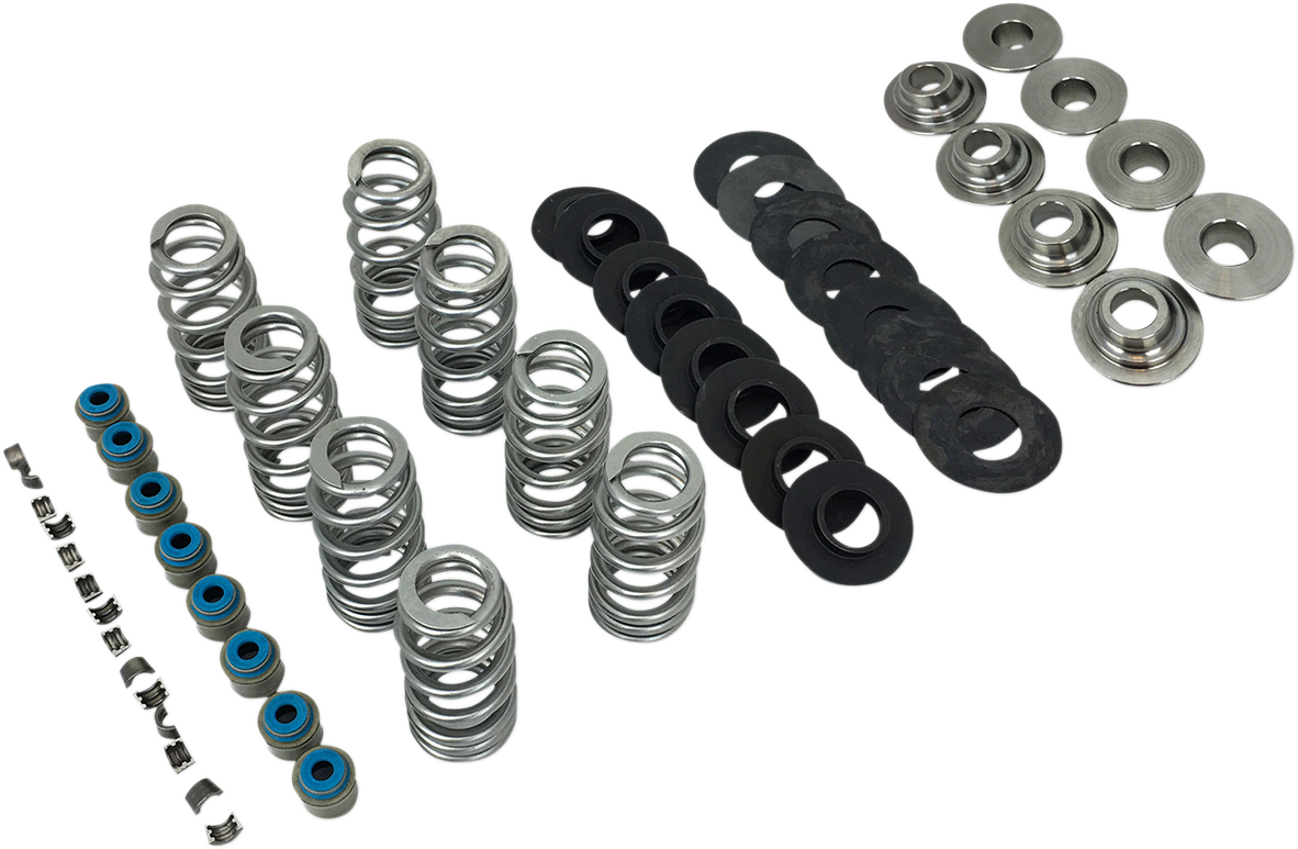 Feuling Endurance Beehive Valve Spring Kit for 2017-24 Harley Softail Touring M8