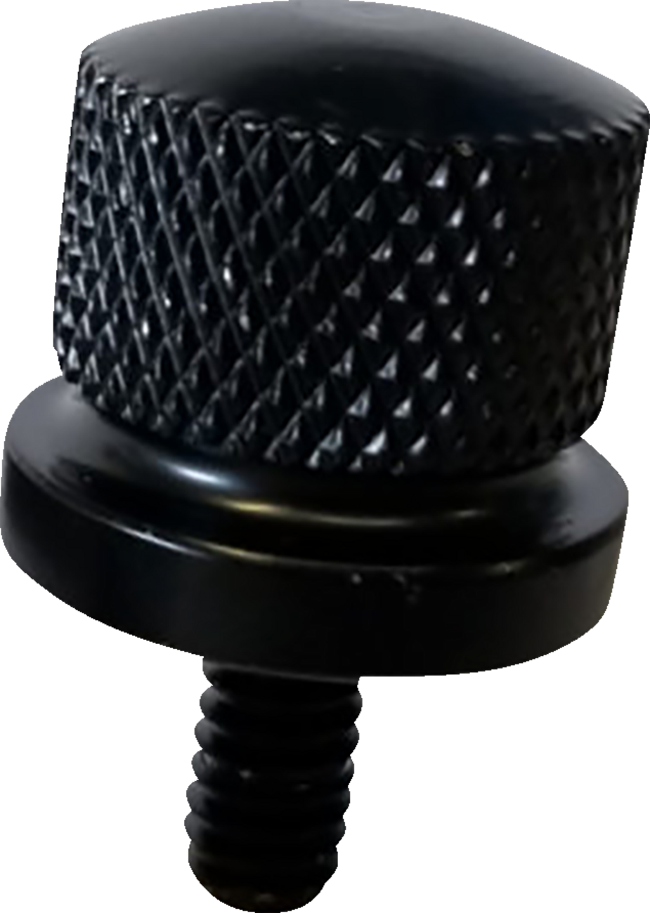 Rickrak Black Stainless Steel 1/4-20 Seat Bolt for Harley Models