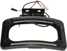 Custom Dynamics Black Dual LED Rear License Plate Frame 2014-2023 Indian Chief