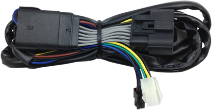 Wild Boar Rear Amplifier Fader Wire Harness fits 2014-2025 Harley Touring Ultra