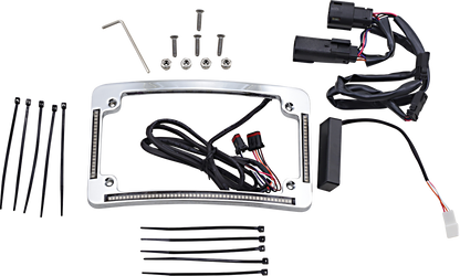 Custom Dynamics Chrome LED Radius License Plate Frame 2014-2023 Harley Touring