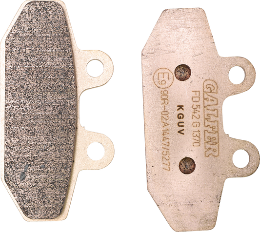 Galfer Sintered Rear Brake Pads for 2018-2023 Harley Softail Models FXBB FLFB
