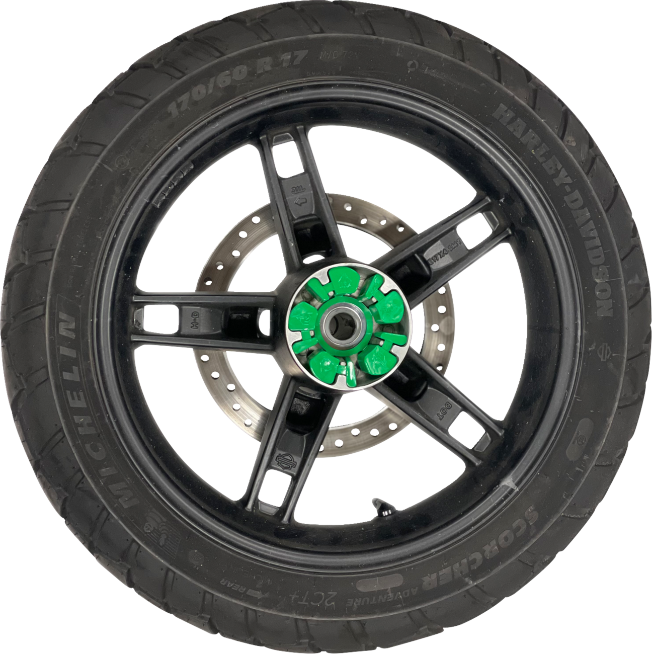 Alloy Art Cush Drive Dampener for 2021-2024 Harley RH Sportster Pan America 1250