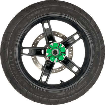 Alloy Art Cush Drive Dampener for 2021-2024 Harley RH Sportster Pan America 1250