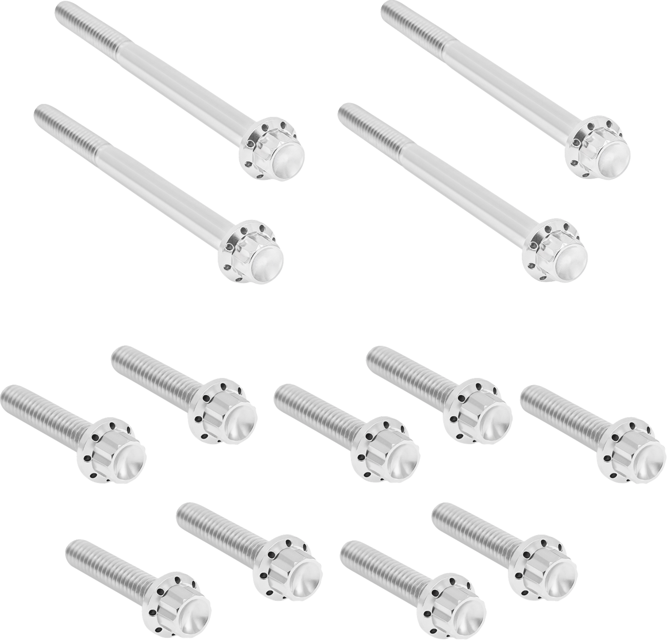 Arlen Ness Polished Primary Cover Titanium Bolt Kit for 2018-2026 Harley Softail