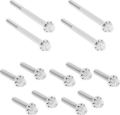 Arlen Ness Polished Primary Cover Titanium Bolt Kit for 2018-2026 Harley Softail