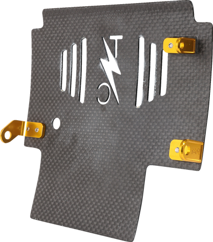 Thrashin Carbon Fiber Gold Skid Plate fits 2023-2025 Harley Street Road Glide