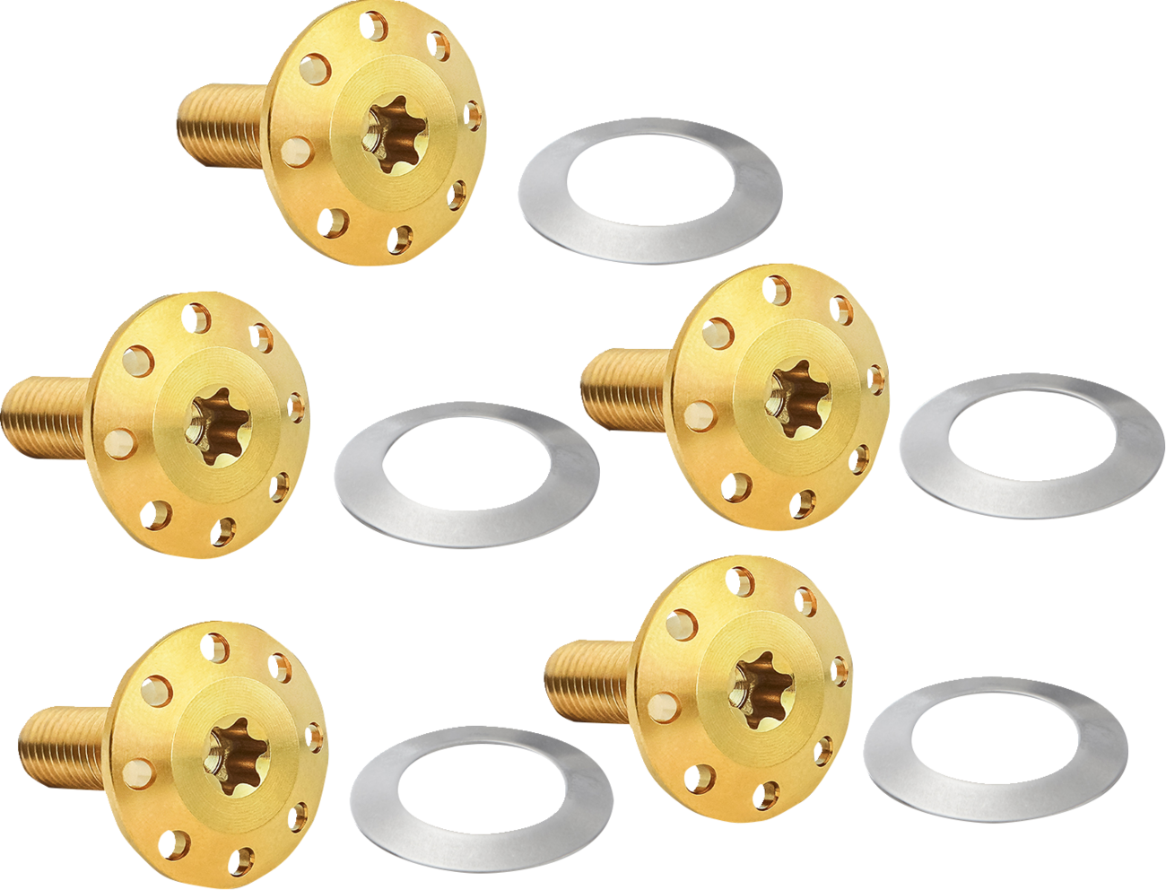Arlen Ness Gold Front Floating Brake Rotor Bolt Kit 2024 Harley Touring 300-916