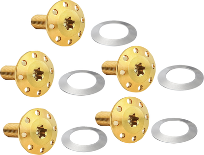 Arlen Ness Gold Front Floating Brake Rotor Bolt Kit 2024 Harley Touring 300-916