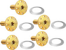 Arlen Ness Polished Front Floating Brake Rotor Bolt Kit 2014-2025 Harley Indian