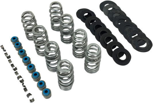 Feuling Beehive Engine Valve Spring Kit 2017-2024 Harley Softail Touring FLHX M8