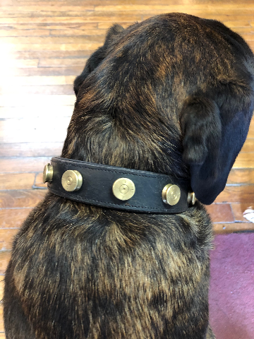 JT's Bad A** Leather 1.25" Dog Collar Once Fired BMG Military .50 Bullets