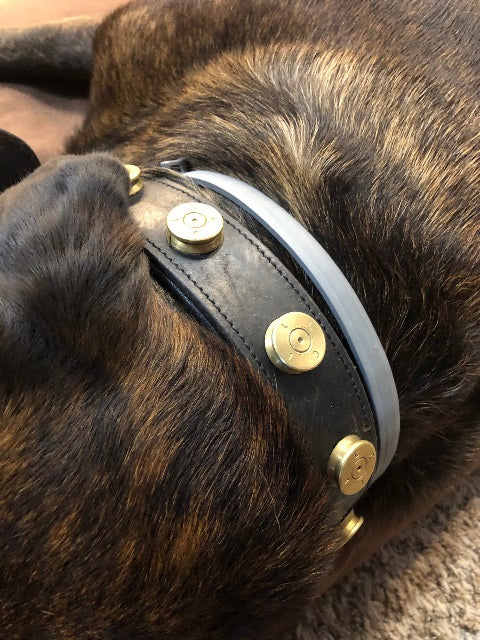 JT's Bad A** Leather 1.25" Dog Collar Once Fired BMG Military .50 Bullets
