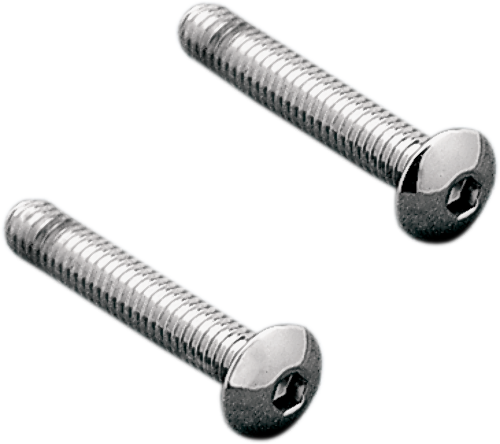 Gardner Westcott Pair Chrome Taillight Lens Screws fits 1999-2020 Harley Touring