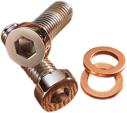 Gardner Westcott 8mm Fork Damper Tube Bolts for 1977-2019 Harley Dyna Touring