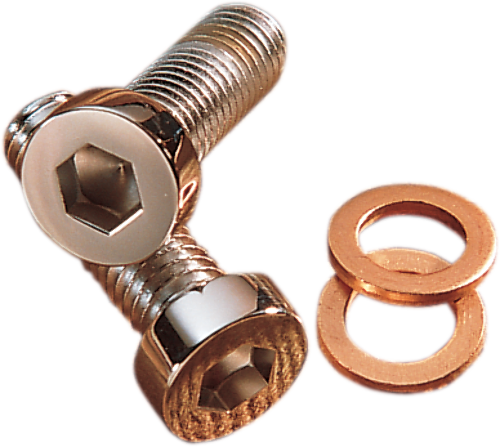 Gardner Westcott 8mm Fork Damper Tube Bolts for 1977-2019 Harley Dyna Touring